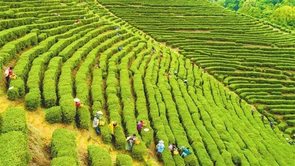 圖片關(guān)鍵詞 圖片關(guān)鍵詞