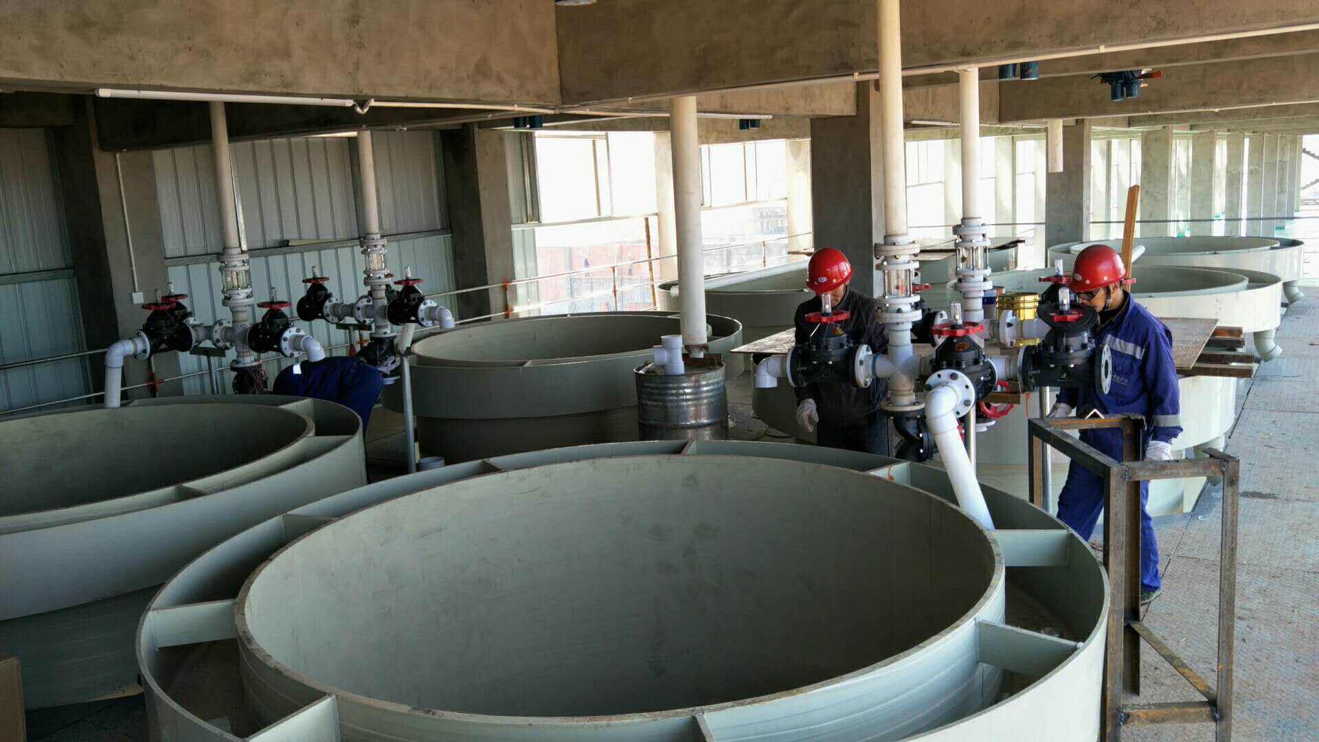 1590131022651561.jpg 20180205063018125.jpg