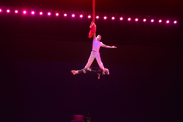 1590464142816022.jpg 20170120034359830.jpg